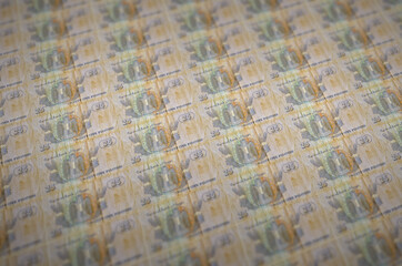25 Egyptian piastres bills printed in illegal money production conveyor. Collage of many fake...