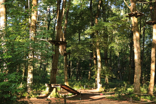 Klettergarten in den W&auml;ldern von Bad Marienberg im Westerwald
