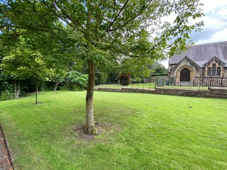 Trees, in a lawn setting, with a church building, in the background, in the village of, Steeton, Keighley, Uk
