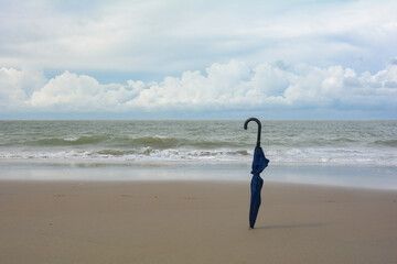 An umbrella is stuck in the sand on the beach, with sly