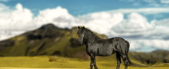 the black horse stands in the mountain landscape.