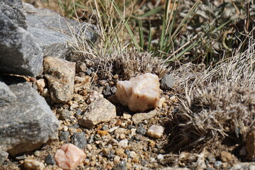 Rose quartz rocks in Colorado