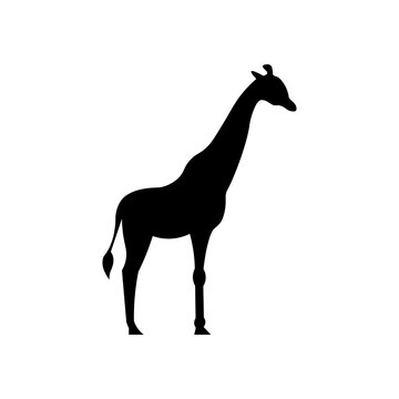 Giraffe black sign icon. Vector illustration eps 10