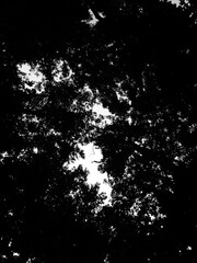 abstract black background