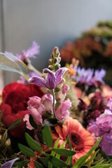 Blumen in Brügge