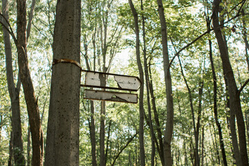 old broken signpost on a tree in the forest