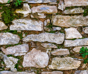 An old stone wall with growing moss.