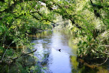 Hillsborough river state park at Tampa, Florida	