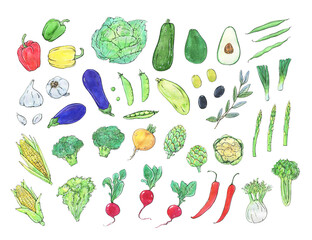 Vegetables is a collection of high-quality hand-drawn watercolor and line art illustrations