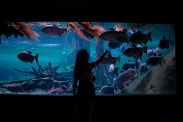 SHADE OF GIRL IN AQUARIUM