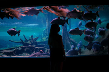 SHADE OF GIRL IN AQUARIUM