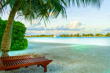 Sandy Beach with Wooden Deck Chairs Shaded by Palm Tree