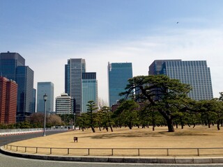 Fototapeta na wymiar Tokyo downtown and skyscrapers 