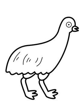 recommend clip art: エミュー(線画)