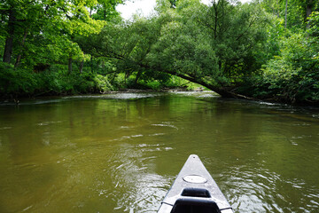 Obraz premium Pine River Scenic River, Wellston, Michigan