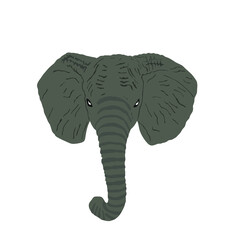 Elephant head vector illustration isolated on white background.
Elephant male, African animal, safari attraction.