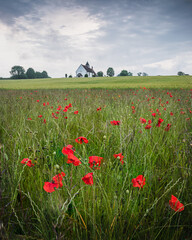 a church on a hill surrounded by green fields and red poppies