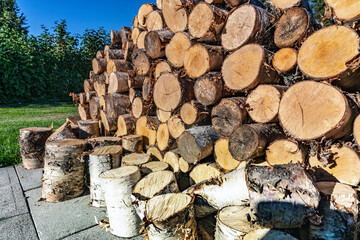 Close up photo of fresh stacked short birch wood logs on barbeque spot, garden. Birch logs harvested to be used for grilling. Summer evening, concrete plates. Green bushes and blue sky at background - obrazy, fototapety, plakaty
