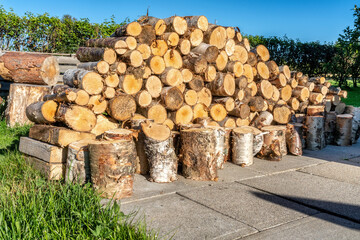 A lot of fresh stacked short birch wood logs on barbeque spot, garden. Birch logs harvested to be used for grilling. Summer evening, concrete plates. Green bushes and blue sky at background - obrazy, fototapety, plakaty