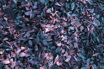 The nature is amazing 