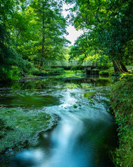 Fototapeta na wymiar a flowing river with a bridge over it surrounded by green trees