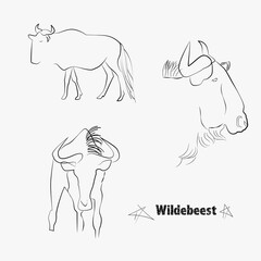 Wildebeest drawn with lines by hand . drawing lines