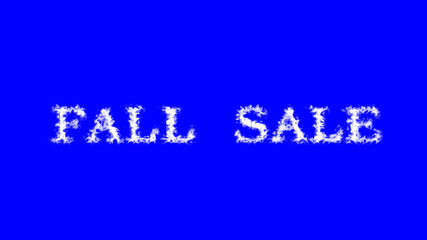 Fototapeta na wymiar Fall Sale cloud text effect blue isolated background. animated text effect with high visual impact. letter and text effect. 