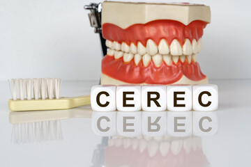 The text is written on the cubes - CEREC. In the background, a model of the jaw with a toothbrush. Prevention of dental diseases.