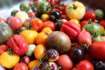 fruits and vegetables