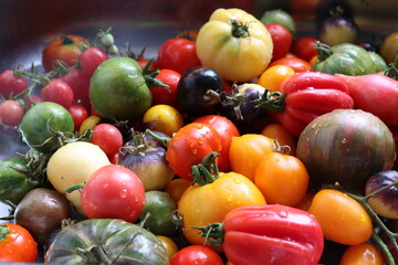 vegetables on the market