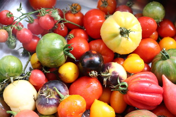tomatoes and peppers