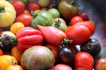 Multicolored tomatoes close-up top view, selective focus.