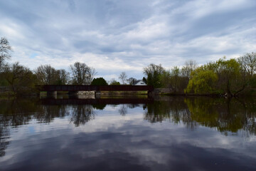 Fototapeta premium reflection of trees in the lake