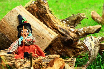 Wiedźma czarownica siedząca na kawałku świeżo pociętego drzewa  - obrazy, fototapety, plakaty