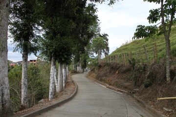 Sendero