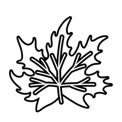 autumn season leaf plant line style icon