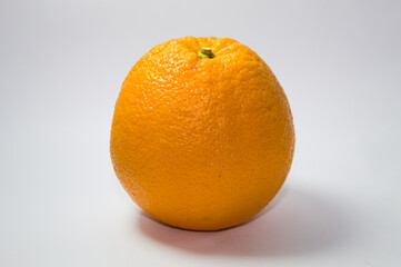 Laranja do Brasil com fundo branco