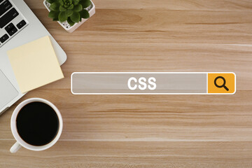 CSS Concept For Business