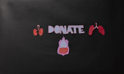 organ donor day, hands holding organ, donor woman holding red heart, health insurance, donation...