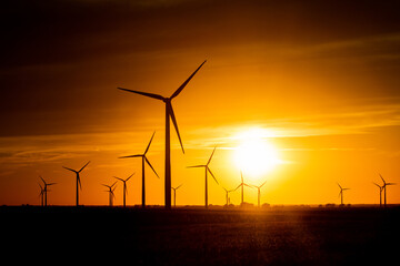 Sunset behind a field of wind turbines