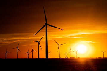 Sunset behind a field of wind turbines - obrazy, fototapety, plakaty