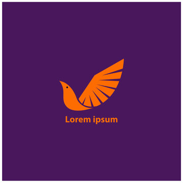 logo design.
orange bird logo