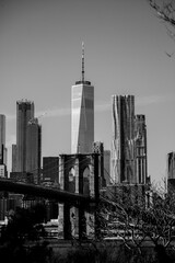 NYC Skyline from Dumbo