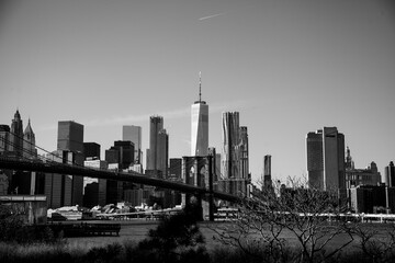 NYC Skyline from Dumbo
