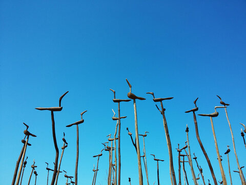 하늘을 배경으로 한 새 모양의 솟대들