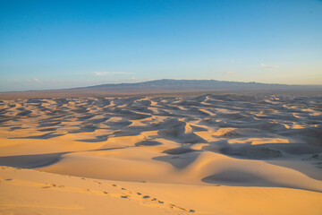 Fototapeta na wymiar 몽골의 모래 사막