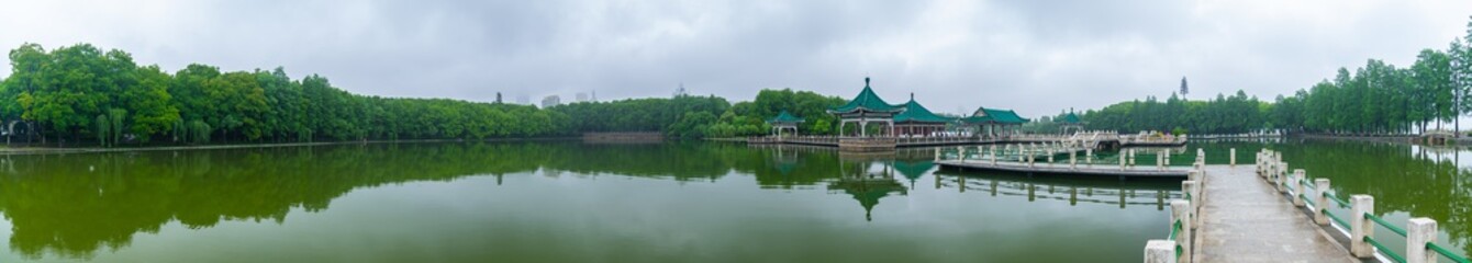 Fototapeta na wymiar Summer scenery of Wuhan East Lake Scenic Spot