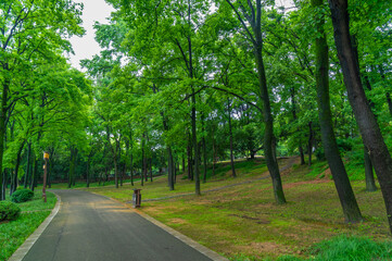 Summer scenery of Wuhan East Lake Scenic Spot