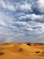 Fototapeta na wymiar Sahara desert landscape with sand dunes and beautiful clouds in sunset light. Travel in Dubai.