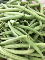 fresh green beans
